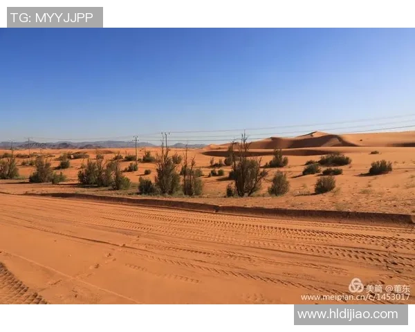 俄罗斯对阵沙特阿拉伯的欧洲盘口分析与投注建议